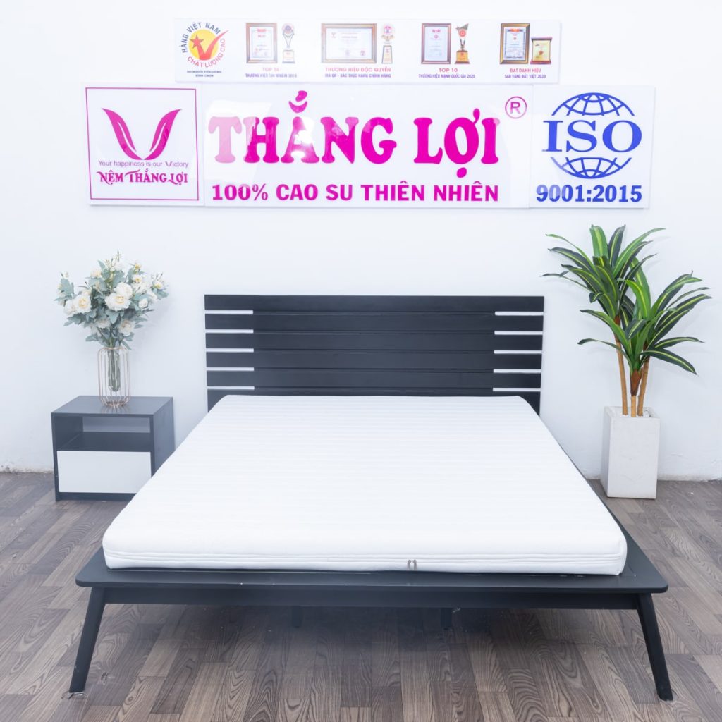 So Sánh Nệm Cao Su, Nệm Foam và Nệm Lò Xo: Lựa Chọn Nào Phù Hợp Nhất?