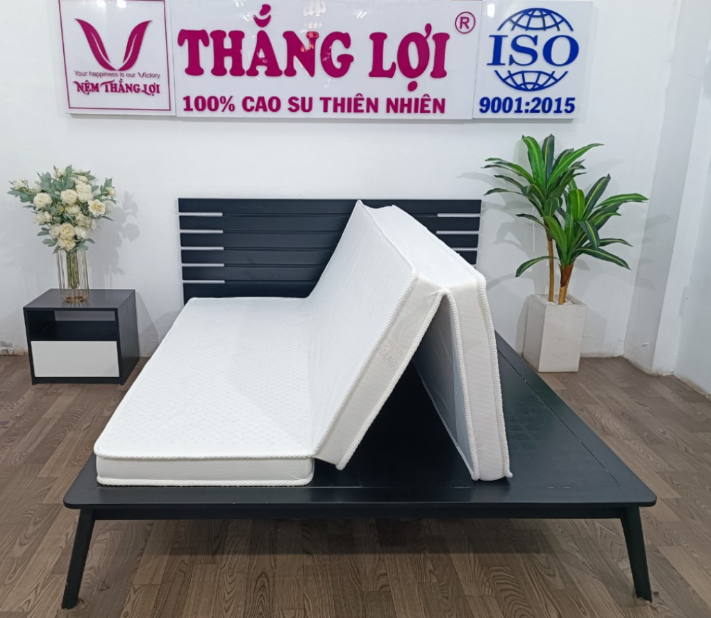 Giấc Ngủ Trưa Trọn Vẹn Với Nệm Gấp Công Sở Thắng Lợi