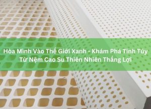 Hòa Mình Vào Thế Giới Xanh - Khám Phá Tinh Túy Từ Nệm Cao Su Thiên Nhiên Thắng Lợi