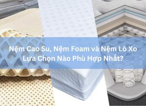 Nệm Cao Su, Nệm Foam và Nệm Lò Xo: Lựa Chọn Nào Phù Hợp Nhất?