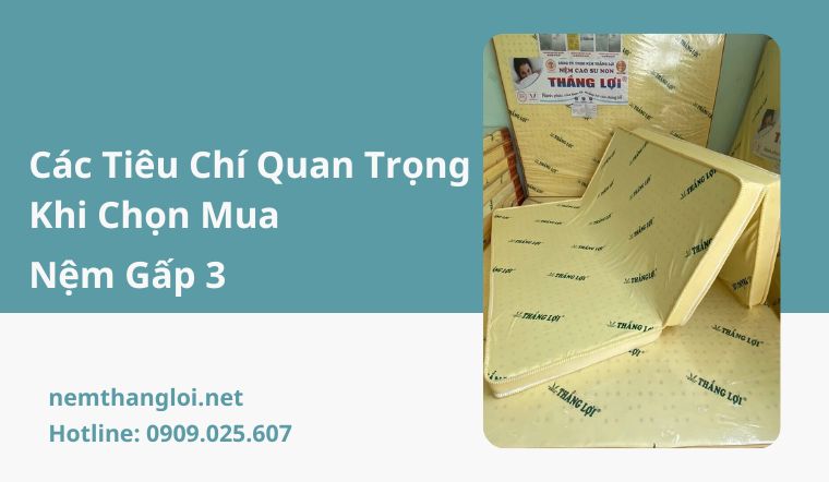 Nệm Gấp 3 - Các Tiêu Chí Quan Trọng Khi Chọn Mua