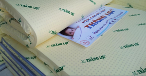kích thước nệm Thắng Lợi