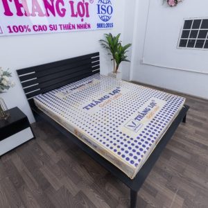top 5 nệm Thắng Lợi bán chạy nhất hiện nay