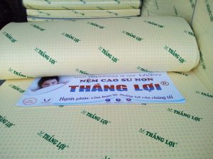 các loại nệm Thắng Lợi