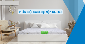 phân biệt các loại nệm cao su