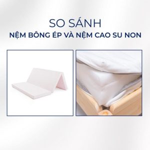 nệm cao su hay bông ép
