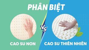 nệm cao su non và cao su thiên nhiên