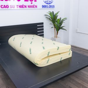 Cửa hàng bán nệm cao su non Thắng Lợi quận 7