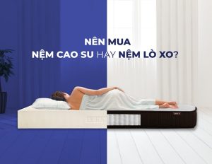 nên mua nệm lò xo hay sao cu