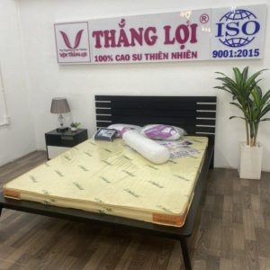 Nệm cao su non thắng lợi 1m x 2m x 20cm
