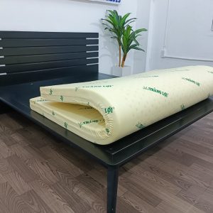 Nệm cao su non Thắng Lợi 1m6 x 2m x 15cm