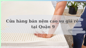 cửa hàng bán nệm cao su quận 9