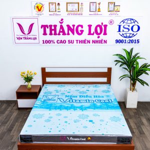 Nệm Điều Hòa Thắng Lợi Vitamin Cool 1m2 x 2m x 10cm