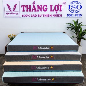 Nệm Điều Hòa Thắng Lợi Vitamin Cool 1m6 x 2m x 10cm