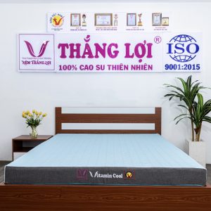 Nệm Điều Hòa Thắng Lợi Vitamin Cool 1m x 2m x 15cm