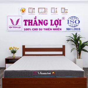 Nệm Điều Hòa Thắng Lợi Vitamin Cool 1m4 x 2m x 15cm