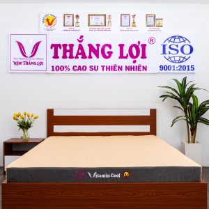 Nệm Điều Hòa Thắng Lợi Vitamin Cool 1m8 x 2m x 15cm
