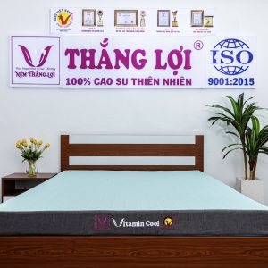 Nệm Điều Hòa Thắng Lợi Vitamin Cool 1m2 x 2m x 20cm