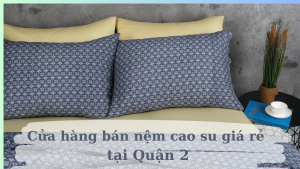 cua hang ban nem cao su quan 2
