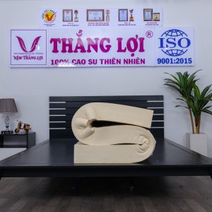 Nệm Cao Su 100% Sisi – Advanced 1m6 x 2m x 15cm