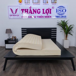Nệm Cao Su 100% Sisi – Advanced 1m6 x 2m x 5cm