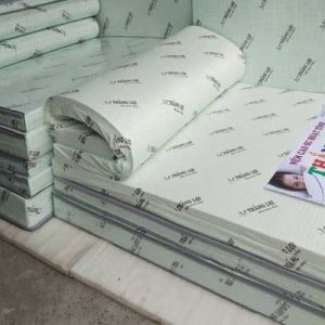 Nệm cao su hoạt tính Thắng Lợi 1m2 x 2m x 10cm
