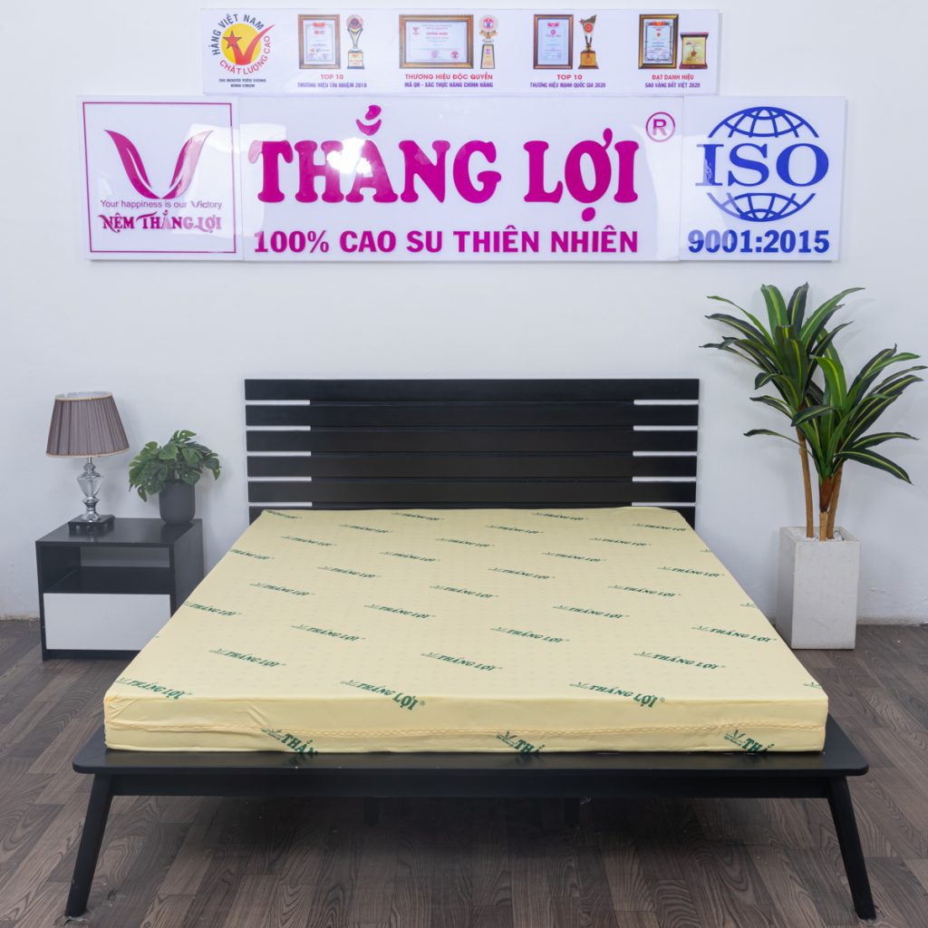 Nệm cao su non Thắng Lợi 1m4 x 2m x 10cm - NỆM THẮNG LỢI