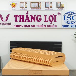 Nệm Cao Su 100% SuSu – Original 1m4 x 2m x 5cm