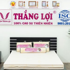Nệm Cao Su 100% SuSu – Original 1m x 2m x 15cm