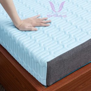 Nệm Điều Hòa Thắng Lợi Vitamin Cool 1m8 x 2m x 10cm