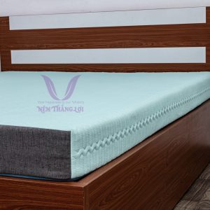 Nệm Điều Hòa Thắng Lợi Vitamin Cool 1m4 x 2m x 20cm