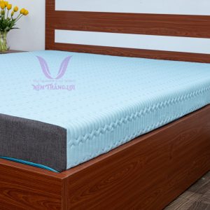 Nệm Điều Hòa Thắng Lợi Vitamin Cool 1m x 2m x 20cm