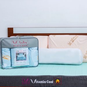 Nệm Điều Hòa Thắng Lợi Vitamin Cool 1m6 x 2m x 15cm