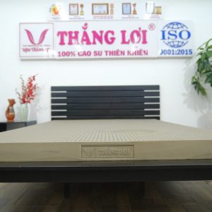 Nệm Cao Su 100% BoBo – Than Hoạt Tính 1m2 x 2m x 5cm