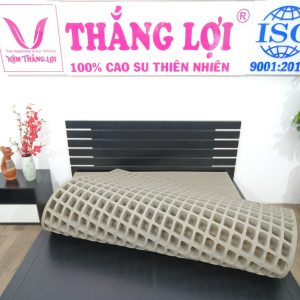 Nệm Cao Su 100% BoBo – Than Hoạt Tính 1m6 x 2m x 5cm