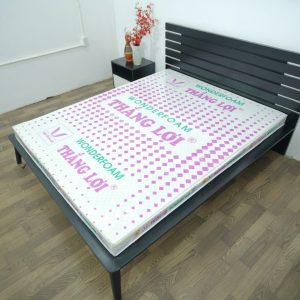 Nệm Cao Su Wonder Foam Thắng Lợi 1m4 x 2m x 10cm
