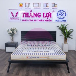 Nệm Cao Su Gold Latex Thắng Lợi 1m x 2m x 10cm