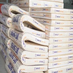 Nệm Cao Su Gold Latex Thắng Lợi 1m4 x 2m x 10cm