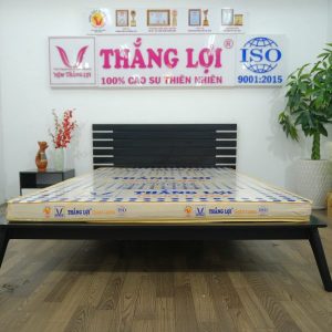 Nệm Cao Su Gold Latex Thắng Lợi 1m2 x 2m x 15cm