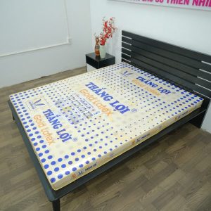 Nệm Cao Su Gold Latex Thắng Lợi 1m x 2m x 20cm