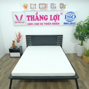 Nệm Cao Su Wonder Foam Thắng Lợi 1m8 x 2m x 15cm