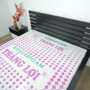 Nệm Cao Su Wonder Foam Thắng Lợi 1m2 x 2m x 20cm