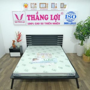 Nệm Cao Su Thiên Nhiên Super Win Thắng Lợi 1m x 2m x 5cm