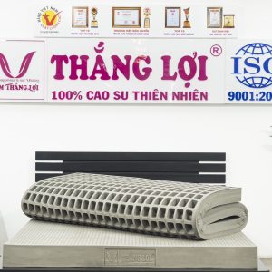 Nệm Cao Su 100% BoBo – Than Hoạt Tính 1m x 2m x 5cm