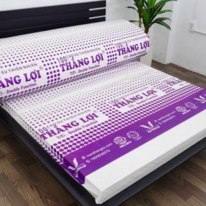 Nệm Cao Su 100% TiTi – Double Function 1m2 x 2m x 5cm