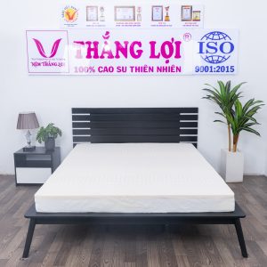 Nệm Cao Su 100% Massage Rosi Thắng Lợi 1m x 2m x 15cm