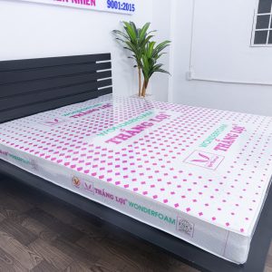 Nệm Cao Su Wonder Foam Thắng Lợi 1m x 2m x 10cm