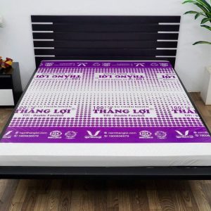 Nệm Cao Su 100% TiTi – Double Function 1m2 x 2m x 10cm