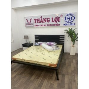 nệm cao su non Thắng Lợi 1m6 x 2m x 20cm