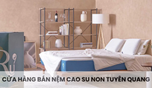 cửa hàng bán nệm cao su non Tuyên Quang